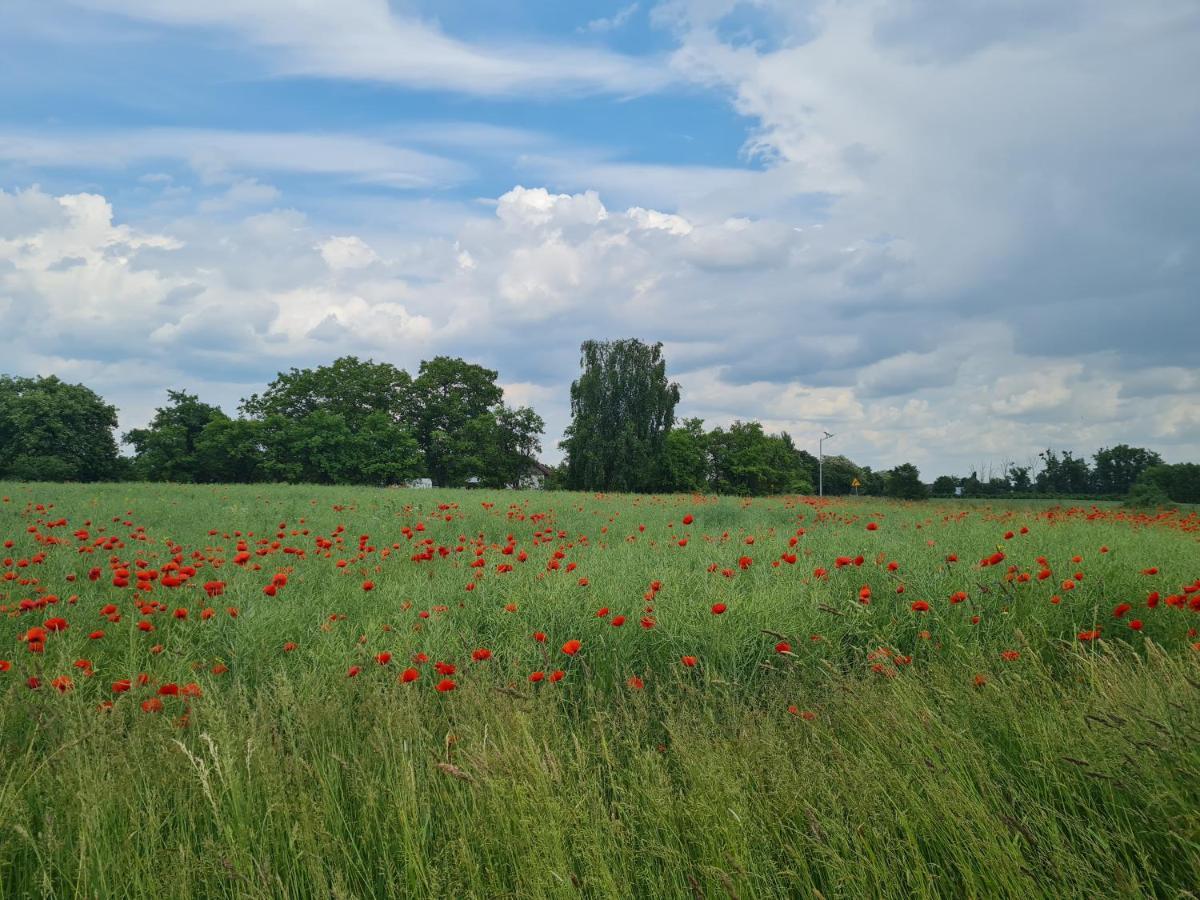 Siedlisko Józefka Vila Zarobka Exterior foto