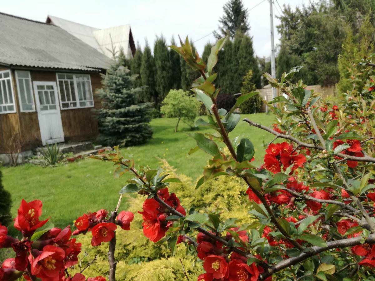 Siedlisko Józefka Vila Zarobka Exterior foto